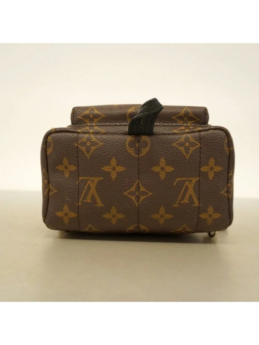 Louis Vuitton Backpack Monogram Palm Spring Mini Brown - Picture 3 of 10